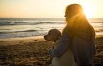All pets veterinary hospital is a fully accredited animal hospital with both state of the art equipment and a caring, compassionate staff. All Pets Veterinary Hospital Veterinary Emergency Clinic Hospital
