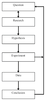 Variables And Data Surveys Or Experiments