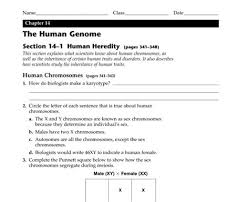 Accompanied by them is this 14 1 human chromosomes. 14 1 Human Chromosomes Key Bestseller Guided Reading And Study Workbook Chapter 14 Human Heredity Answers How Do Small Changes In Dnacause Genetic Disorders Hot Trendings