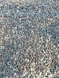 Check spelling or type a new query. Decorative Rock 1 1 2 Mn River Rock 89 50 A Garden Center Duluth Minnesota Plants Trees Shrubs Flowers Annuals Perennials