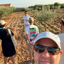 Brist Extra Virgin Olive Oil (2025)