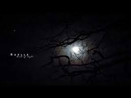 The dead of the night, also published as the dead of night, is the second book in the tomorrow series by john marsden. Ruelle Dead Of Night Youtube