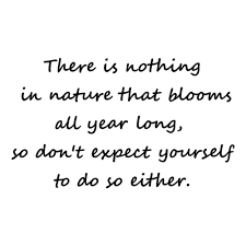 Winner of the 1992 perennial of the year award, 'moonbeam' is a tried and tested groundcover that will provide multiple seasons of bloom in your perennial garden. There Is Nothing In Nature That Blooms All Year Long So Don T Expect Yourself To Do So Either Inspirational T Shirt
