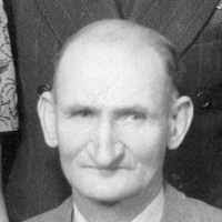 John Henry Peterson Jr (1881–1960)