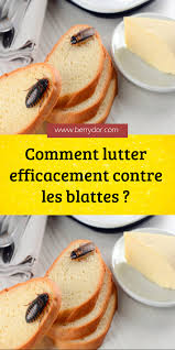 Epingle Sur Animaux Et Insectes