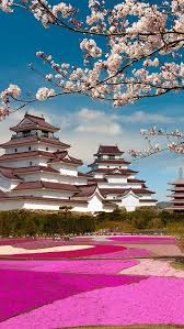 Check spelling or type a new query. Fuji Mount Japan Temple Sakura Bloom 750x1334 Iphone 8 7 6 6s Wallpaper Background Picture Image