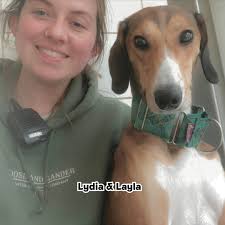 Dog-walking Challenge: 🐕 Get your...