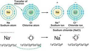 Sodium forming sodium ion electron configurations of transition metal ions: What Is A Possible Ion That Has This Electron Configuration 1s 2 2s 2 2p 6 3s 2 3p 6 Socratic