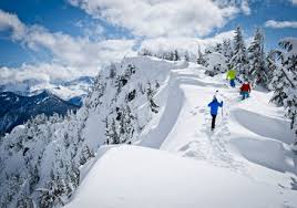 We did not find results for: Snow Fall The Avalanche At Tunnel Creek Multimedia Feature Nytimes Com