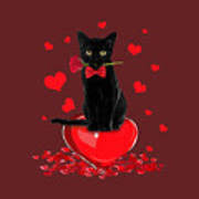 He likes eve from black cat a lot, so i drew her. Black Cat Valentines Day Shirt Boys Girls Valentine Gift Tshirt Digital Art By Katie Tholke