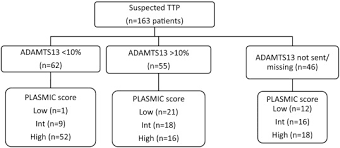 Image result for Plasmic Score