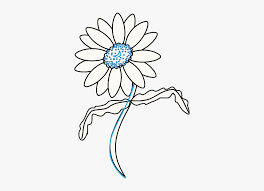 How to draw a flower easy and step by step. Daisy Drawing At Getdrawings Draw Flowers Daisy Hd Png Download Transparent Png Image Pngitem