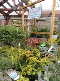 503.788.9000 9000 se division, portland, or 97266 let's get social. A Winter Visit To Portland Nursery
