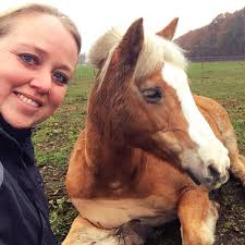 Hi everyone, I think I am ready to take the plunge, how do your horses  react to the TCS, if never tried before please? I'll literally be popping 