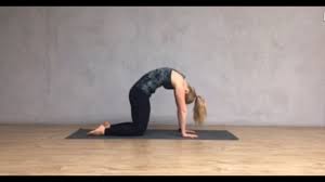 This might look like holding your shoulders up toward i also like cat/cow after i've been sitting for a while and want to get some segmental movement into. Cat Cow Pose Youtube