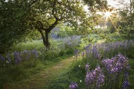 A 100 Year Old Garden Famous For Its Roses Cultivated By Three Generations Of Women In 2020 Garden Design Small Garden Design Amazing Gardens