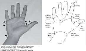 The Hand Measurement Of Joint Motion A Guide To