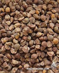 Image result for Argyreia