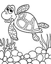 Most toddlers have grown up to turtle cartoons, toys and other turtle themed gadgets. Tortoise Coloring Page For Little Kids Topcoloringpages Net
