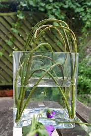 Diy Naturliche Steckhilfe Fur Sommerblumen Sommerblumen Blumen Gartendekoration