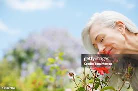 7.888 Tom Flowers Stock Photos, High-Res Pictures, and Images