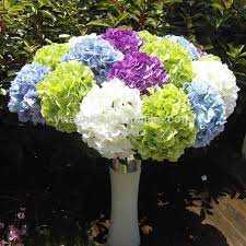 Mock orange cut foliage too. Yiwu Aimee Factory Direct Sale White Hydrangea Cut Flowers Preserved Hydrangea Am Yd037 Buy Preserved Hydrangea White Hydrangea Cut Flowers Hydrangea Flowers Product On Alibaba Com