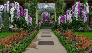 Wer sich im blumengeschäft oder der pflanzenabteilung von gartenfachmärkten und baumärkten umsieht, kommt nicht umhin. Bilder Vereinigte Staaten Longwood Gardens Natur Allee Orchideen