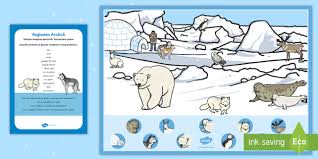 Descărcați imagini uimitoare gratuite despre poli. Animale Polare GÄƒseÈ™te Imaginea PotrivitÄƒ Joc De MasÄƒ