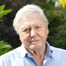 Daniel Biber's Instagram, Twitter & Facebook