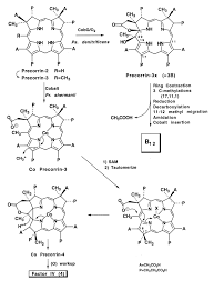 Vitamin b12 consists of a large ring structure similar to porphyrin with a cobalt atom in its centre. Biosynthesis Of Vitamin B12 Factor Iv A New Intermediate In The Anaerobic Pathway Pnas