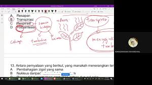 Soalan Objektif Sains Tingkatan 1 Kecemasan N Otosection
