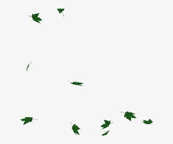 Explore and share the best falling leaves gifs and most popular animated gifs here on giphy. Coins Falling Png Gif Svg Black And White Stock Green Leaves Falling Gif 800x600 Png Download Pngkit