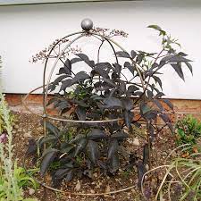 Plant belles also make unique plant tunnels, plant crooks, plant labels and more. Bell Plant Support In Rust From Woolmans