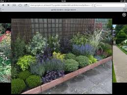 Evergreen Shady Border Garden Border Plants Small Front Gardens Garden Borders