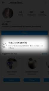 In this video you will get step by step guide to view ig private accounts. How To View Private Instagram Profiles In 2020 Inosocial