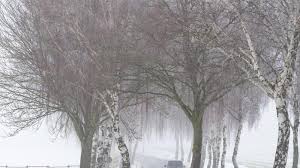 Die temperatur steigt auf werte um 23 grad. Wetter Cuxhaven Viel Schnee Vor Allem Im Sudlichen Niedersachsen Erwartet Panorama Sz De