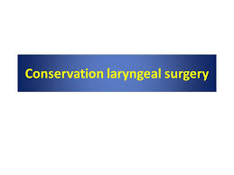 Francis and new chapters and videos ensure that this 7th edition remains the definitive reference. Conservation Laryngeal Surgery Reference Cummings Otolaryngology Head And Neck Surgery 5 Th Edition Chapter 110 Conservation Laryngeal Surgery P Ppt Download