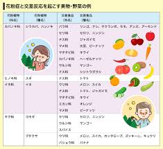 まいどなニュース
