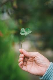 The ireland immigrant investor program was established in 2012 to allow wealthy individuals and families from outside the european union to obtain residency in ireland in exchange for making an approved investment in the irish economy. Can I Get An Irish Passport Apply For Irish Citizenship Ias