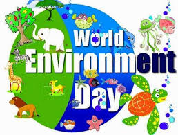 Latest Top 100 Slogans Quotes On World Environment Day 2016 And Happy Environment Day Environment Day World Environment Day