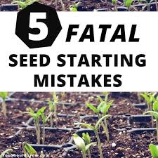5 Fatal Mistakes For Germinating Seeds You Should Grow
