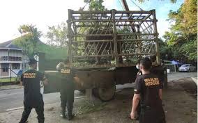 But instead of immediately helping the baby elephant, the teamwaited to see if adun's family would return and rescue him themselves. Four Elephants Get New Home At Elephant Sanctuary In Sabah The Star