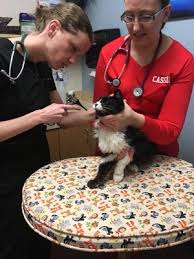 Tlc animal clinic chino hills, ca 91709. Tlc Pet Hospital 1300 Wyoming Blvd Ne Albuquerque Nm Veterinarians Mapquest