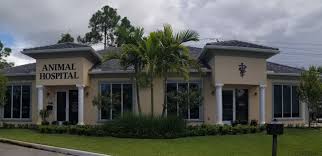 Megan paulissen was born and raised outside of salem, or. Animal Hospital Palm Beach County Animal Hospital At The Markeplace