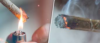 Avantages Et Inconvenients A Vapoter Et Fumer De L Herbe Cannaconnection Com