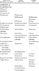 Image result for Nesogenaceae