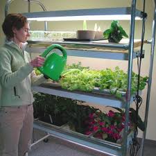 Light Stand 12 Tray T 8 Grow Lights Plant Stand Plants