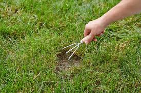 Some parts of the lawn may feel spongy, and the grass detaches easily from the soil, as if there are no roots. How To Get Rid Of Grubs The Home Depot Canada