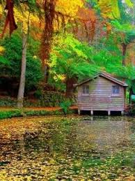 Download Free Colorful Autumn Mobile Wallpaper Contributed By Batistuta11 Colorful Autumn Mobile Wallpaper Nature Wallpaper Mobile Wallpaper Beautiful Nature