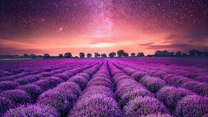 Lavender Tablet Laptop Wallpapers Hd Desktop Backgrounds 1366x768 Images And Pictures We hope you enjoy our growing collection of hd images to use as a background or home screen for your smartphone or computer. lavender tablet laptop wallpapers hd